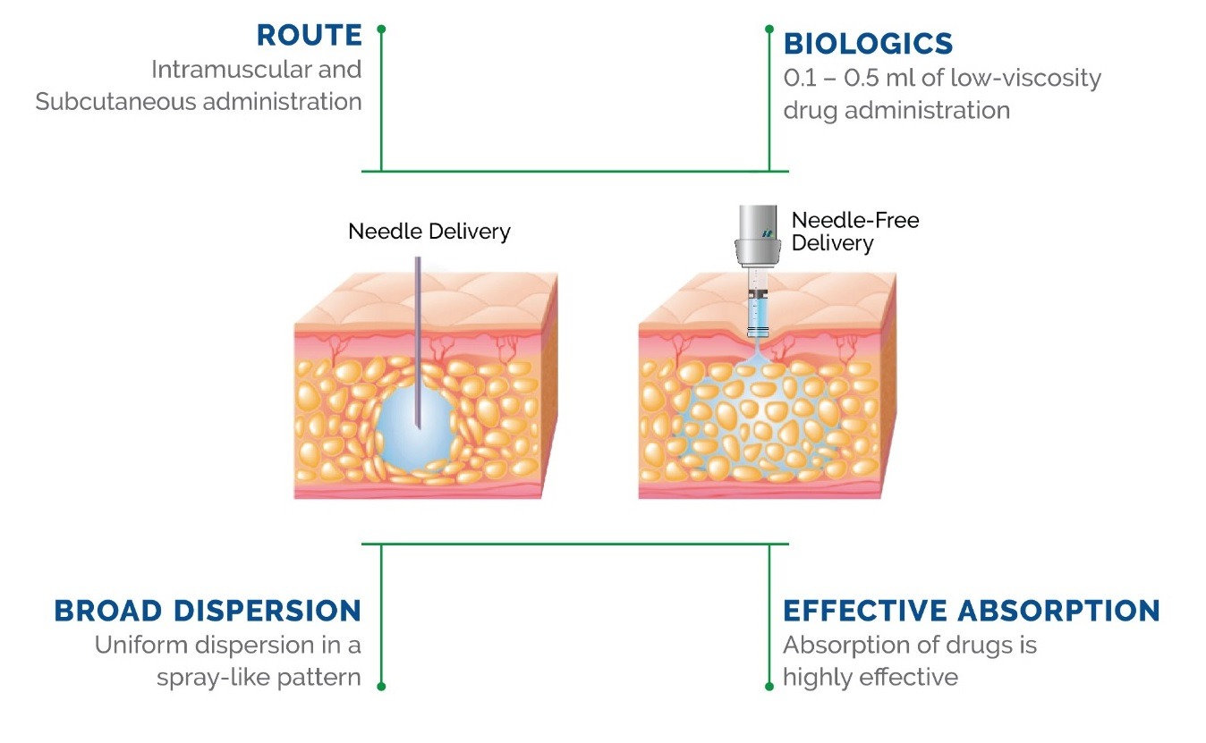 Diagramă IntegriMedical privind dispersia medicamentului cu N-FIS